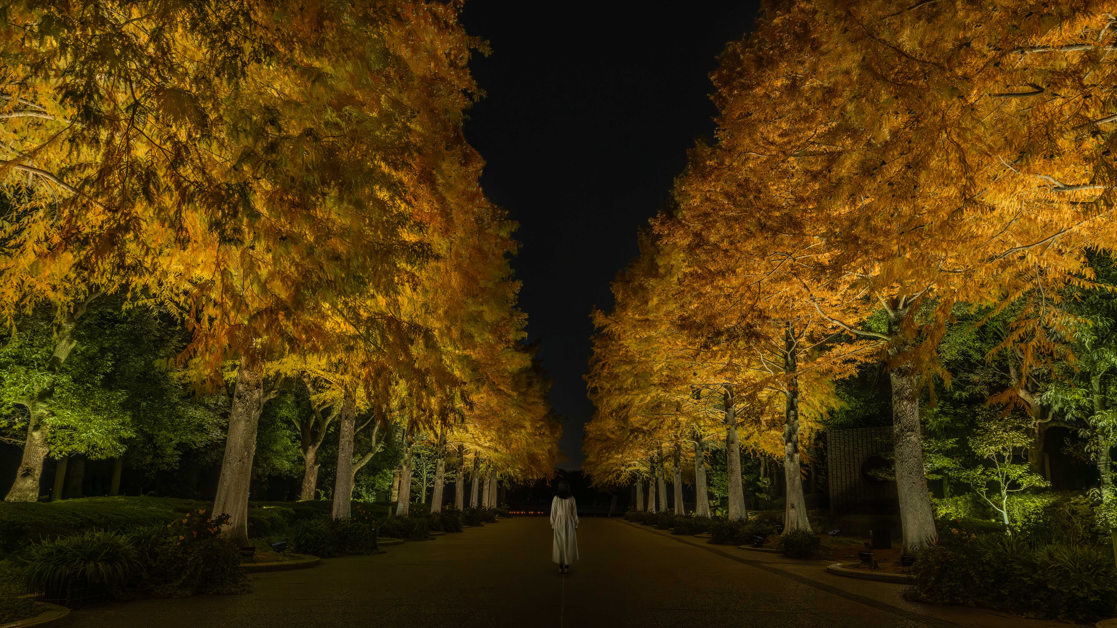 展示テーマ画像