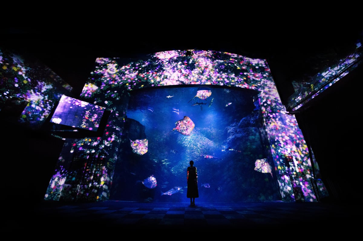 width=1200,format=jpeg