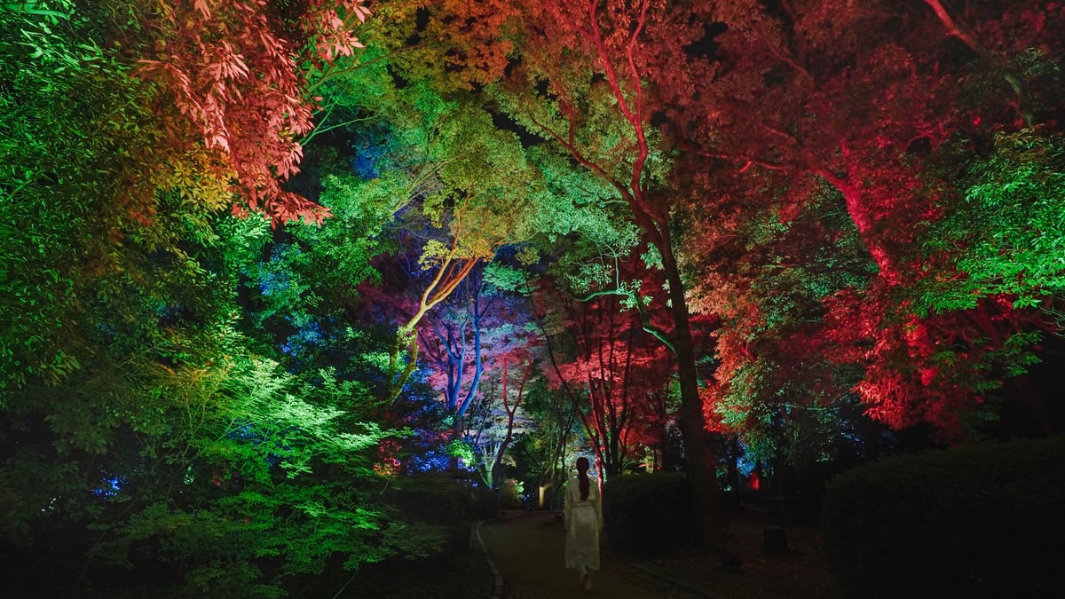 アート・デザイン・音楽 The world has won. A final bow was taken 本日ART-SCHOOL 25th Anniversary Tribute Album『Dreams Never End