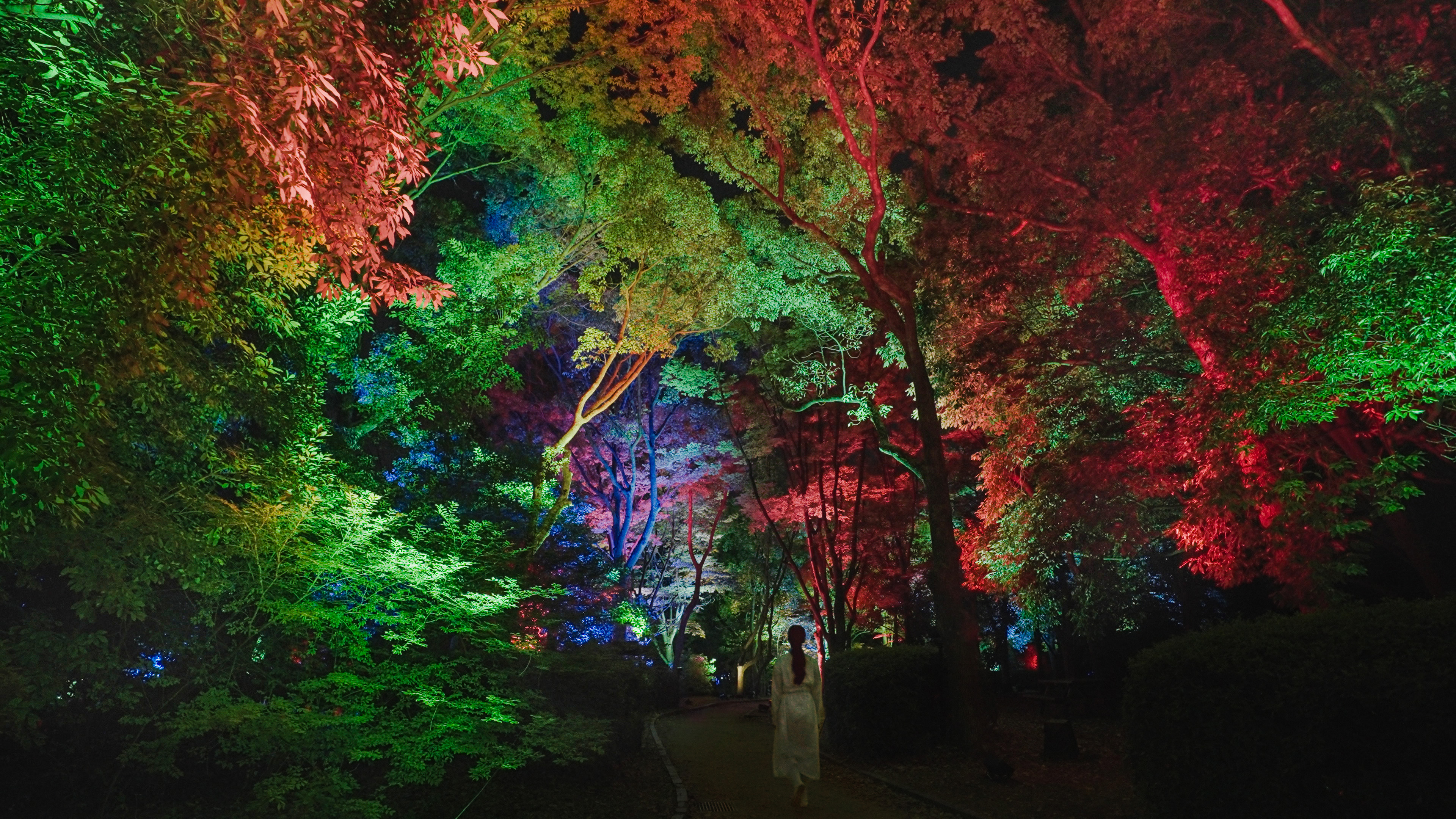 ボタニカルラボページ teamLab Botanical Garden Osaka Highlight Video - YouTube
