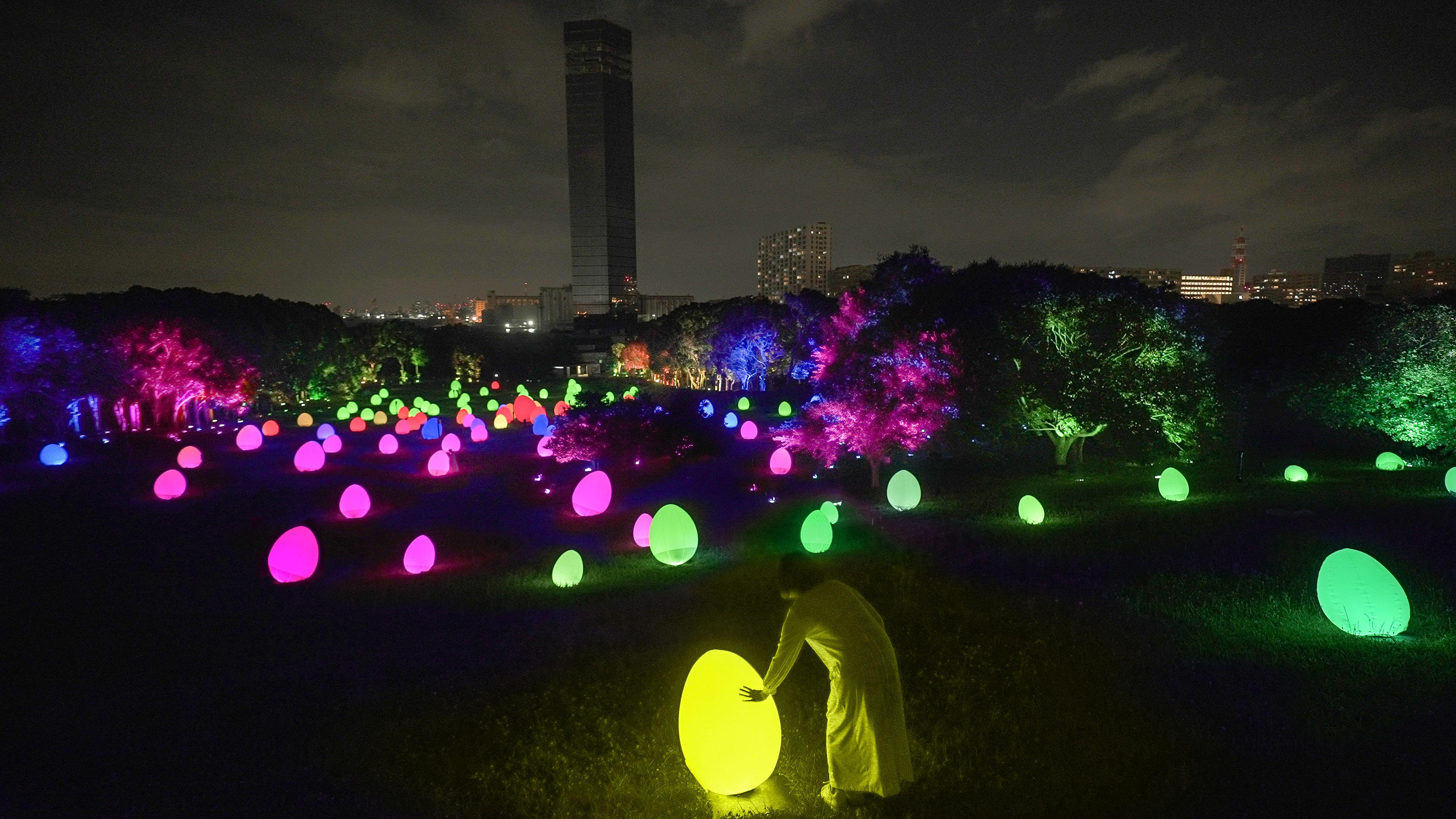 展示テーマ画像