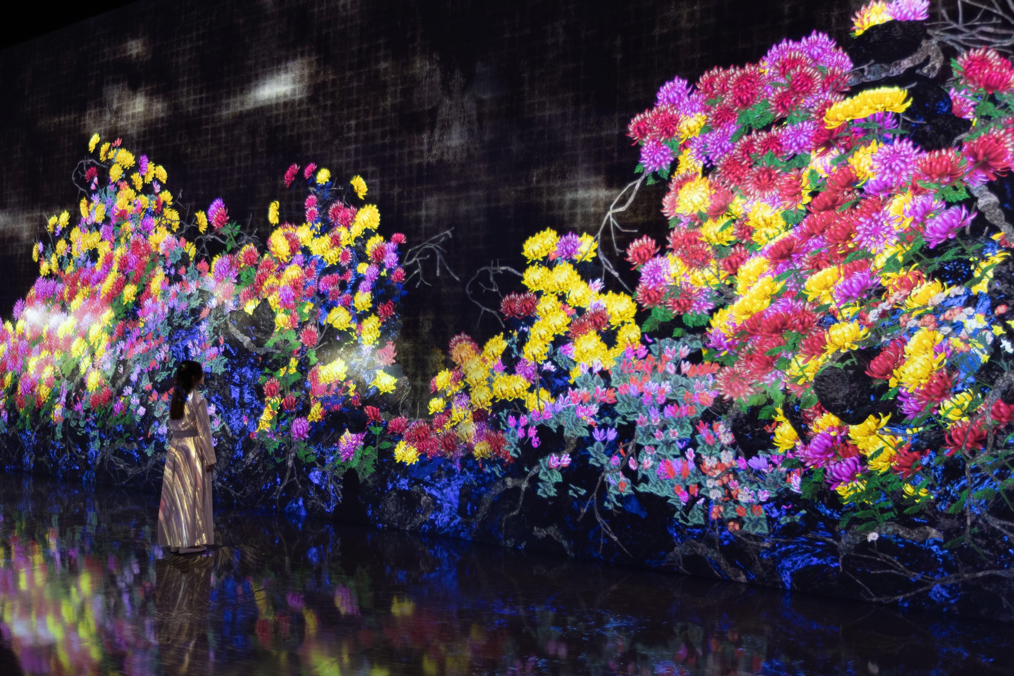Continuous Life and Death at the Now of Eternity | teamLab