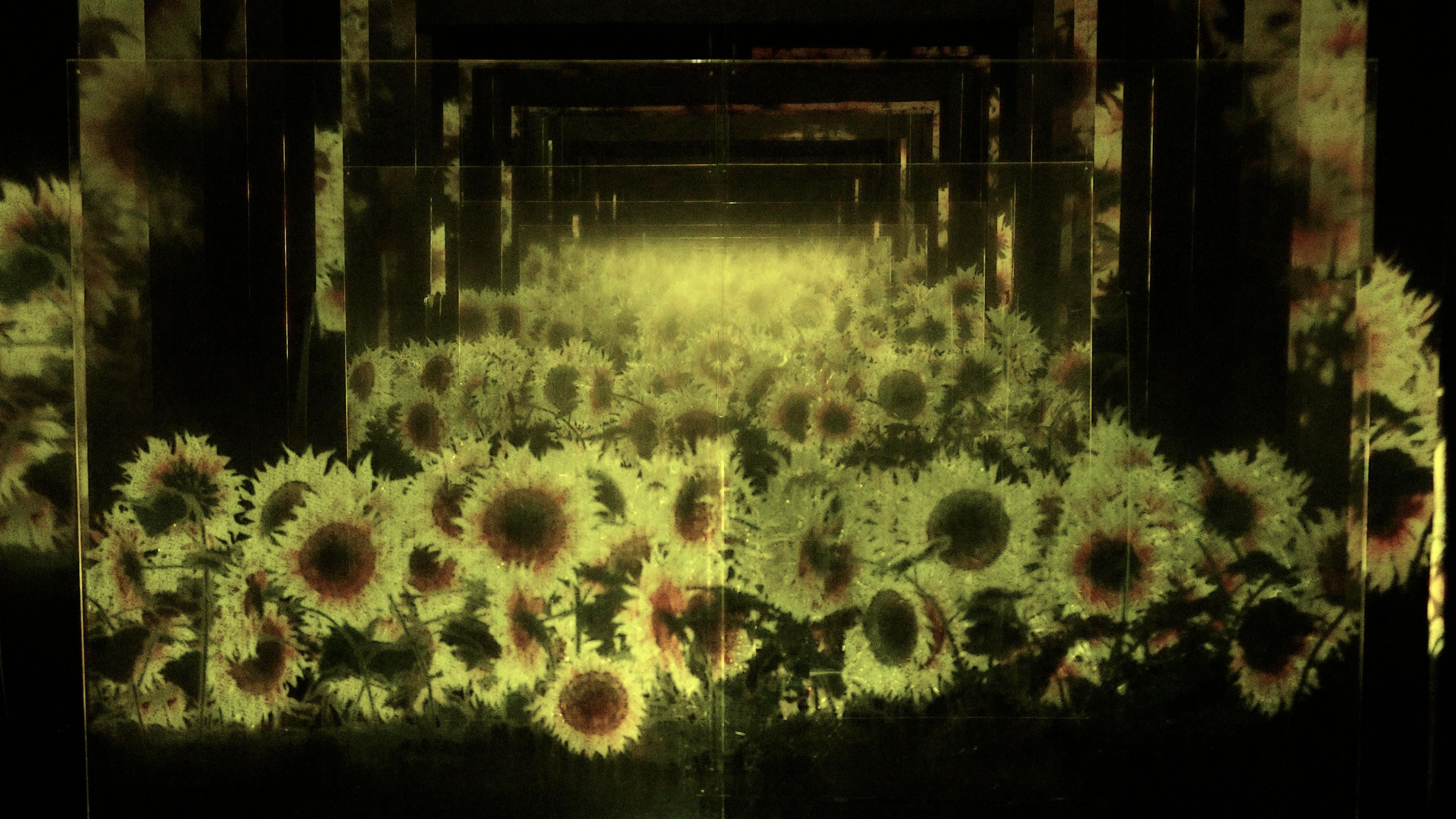 積層された空間に増殖する無量の生命 / Proliferating Immense