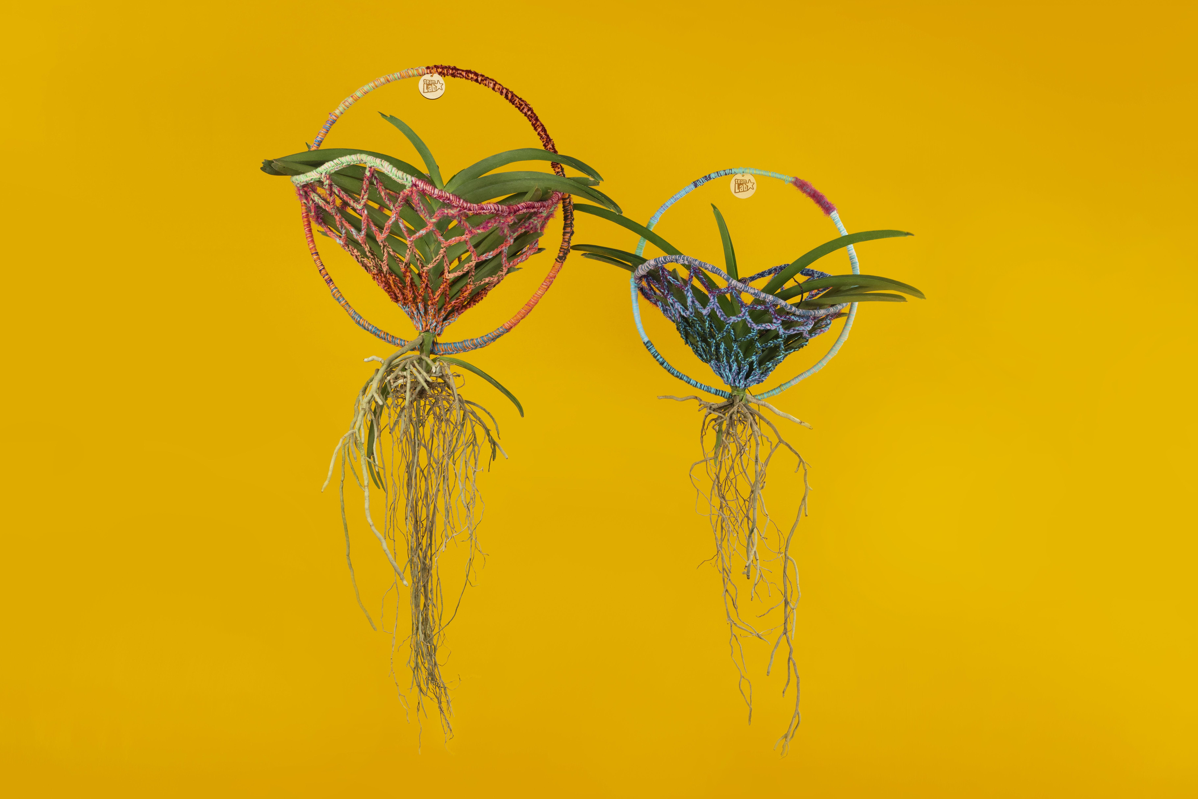 展示テーマ画像