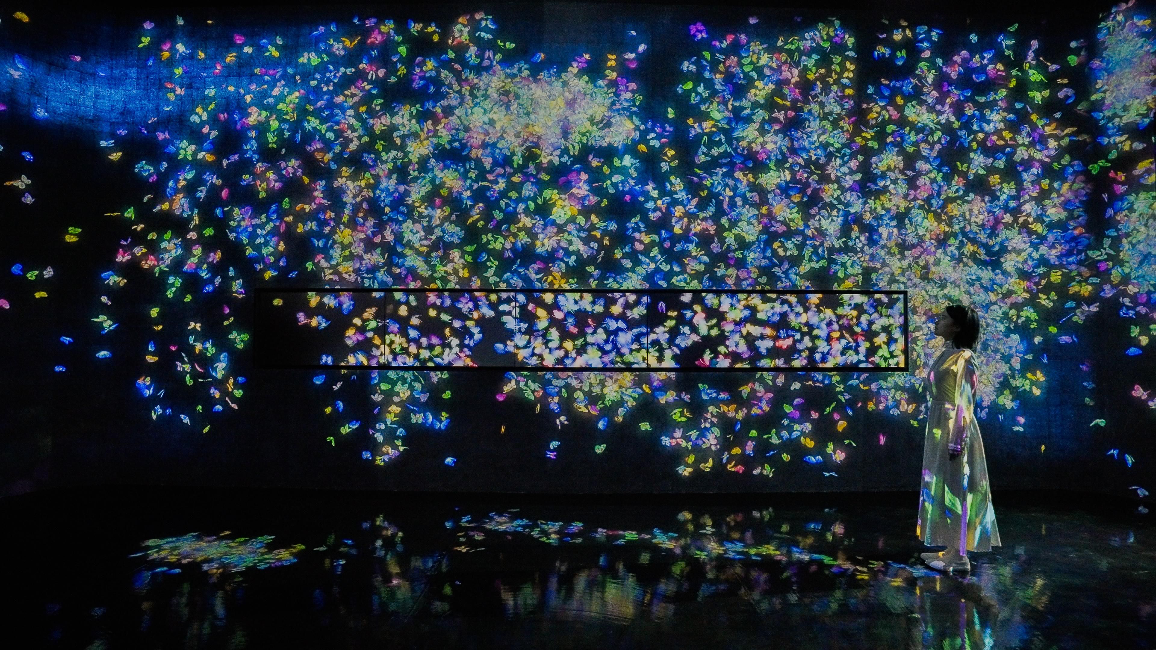 232.森の中で舞う蝶の群れ◆スプレーアート 232.森の中で舞う蝶の群れ◇スプレーアート （森貴之 View