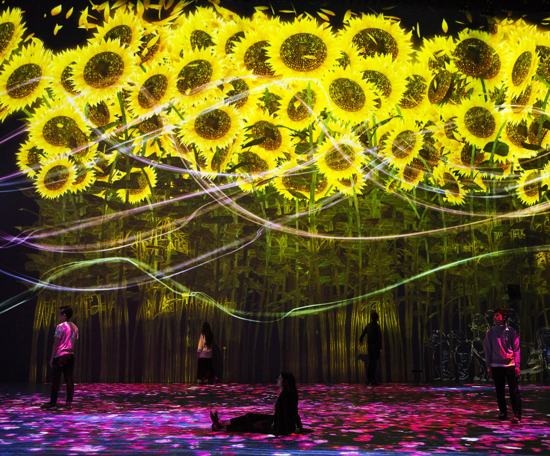 展示テーマ画像