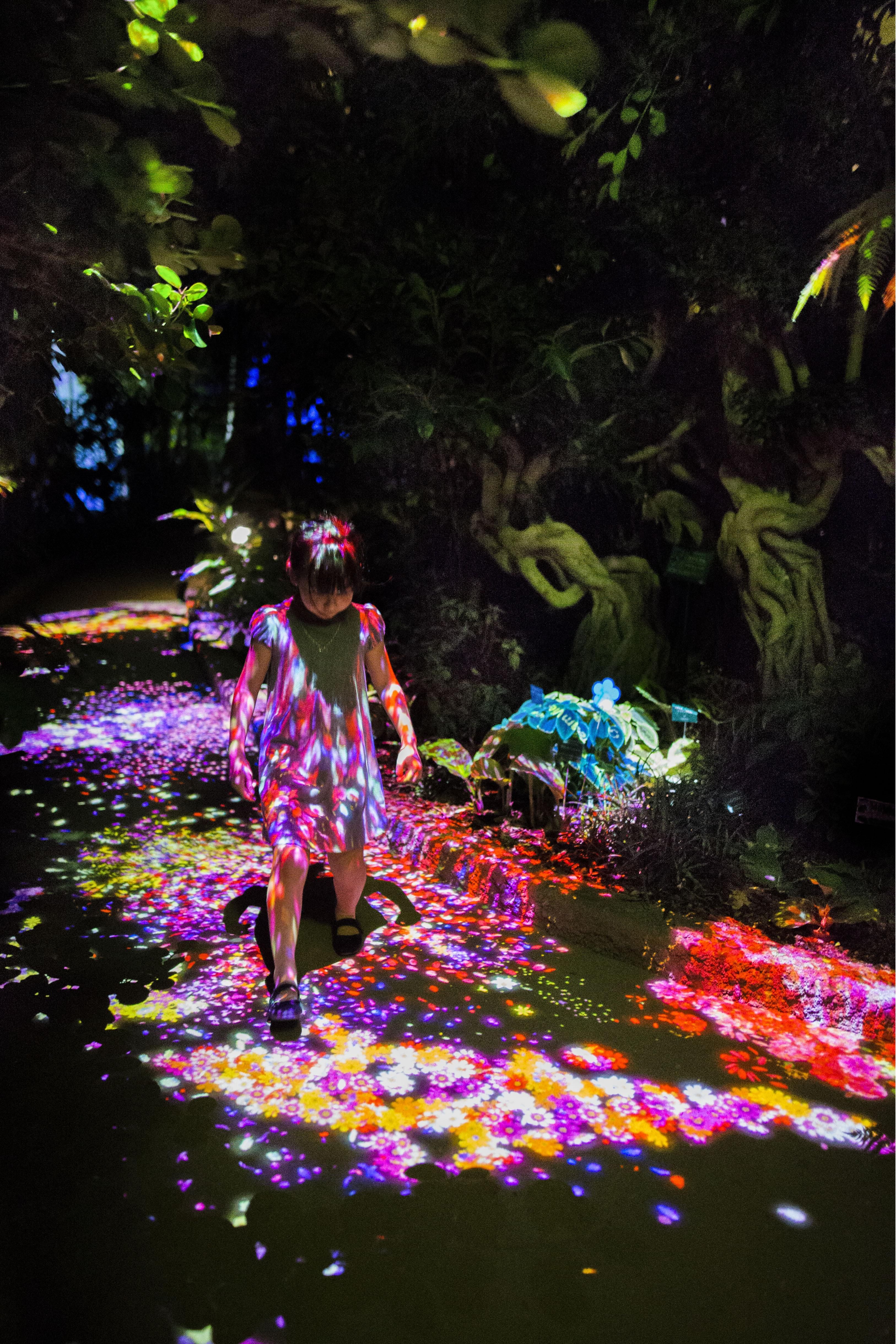 Living Things of Flowers, Symbiotic Lives in the Botanical