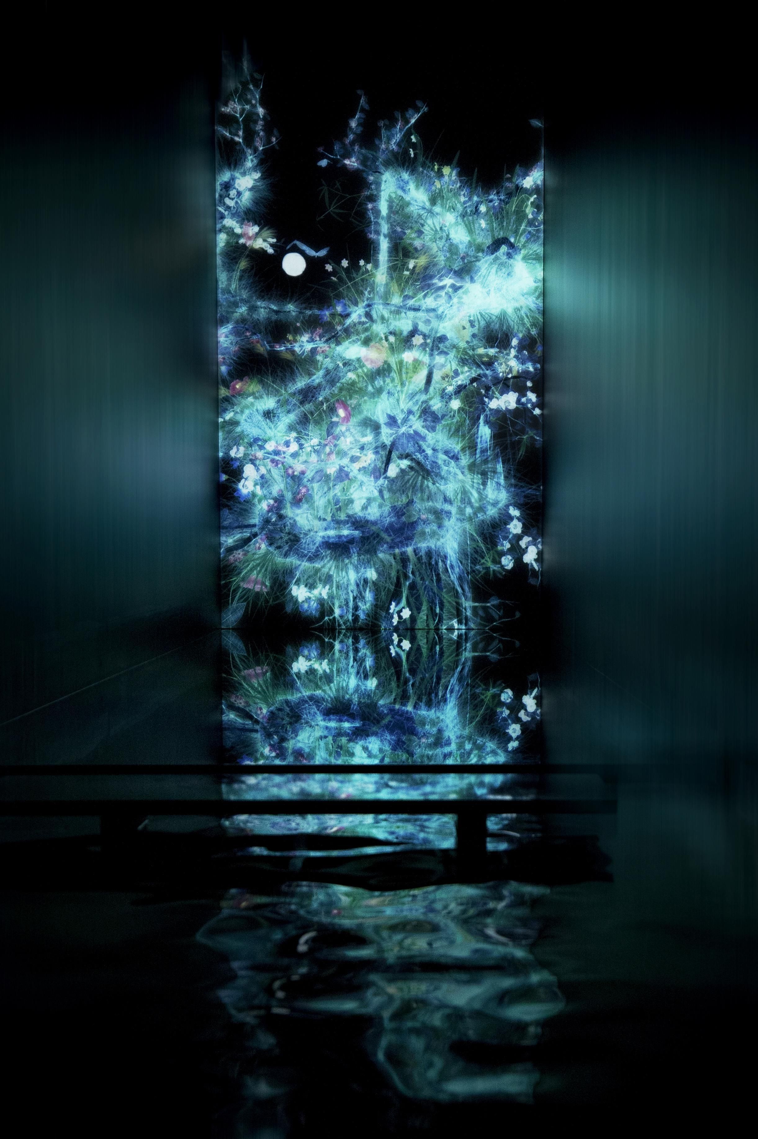 倒景の冷たい生命 / Cold Life on the Water's Surface | teamLab