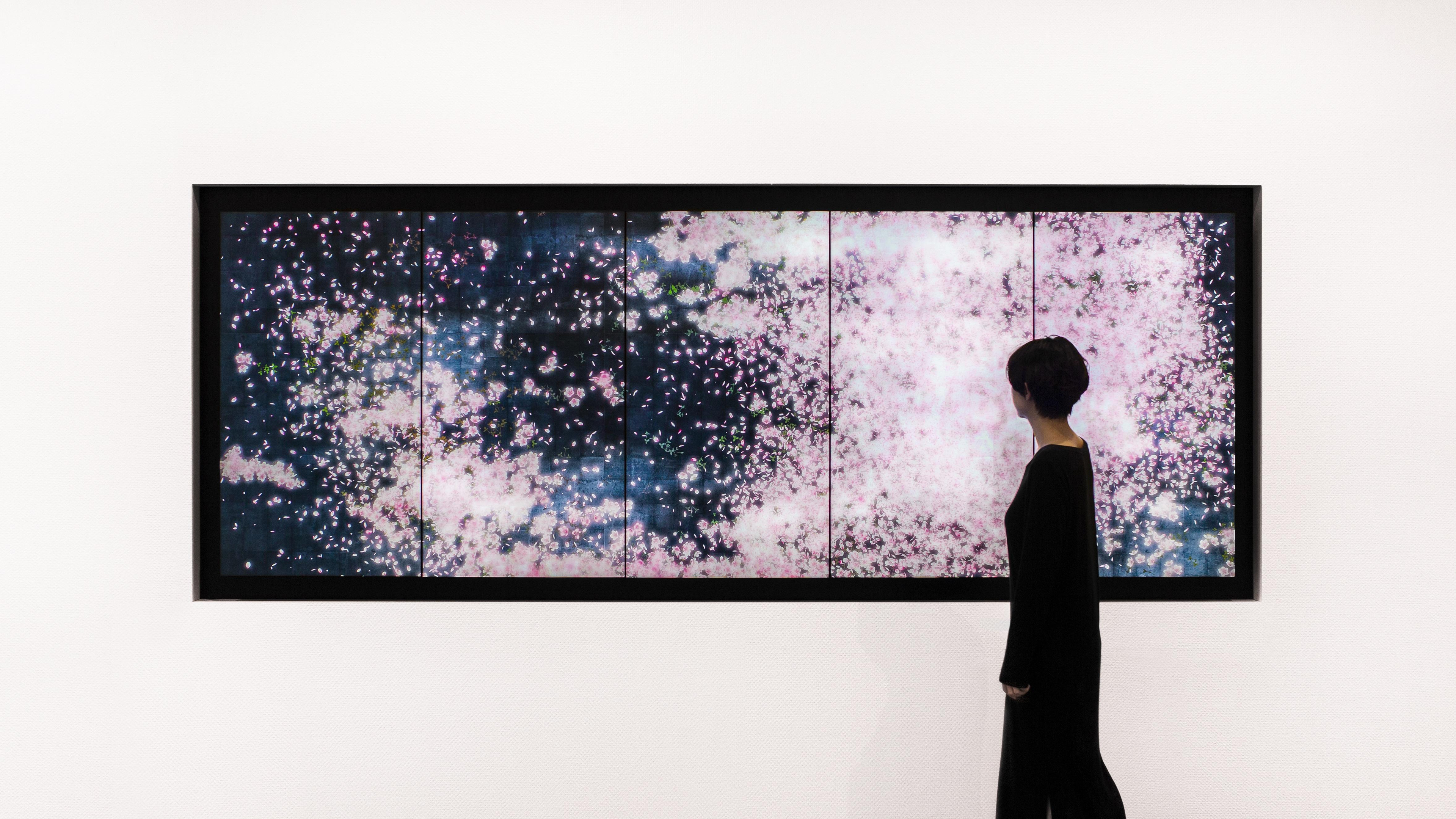 展示テーマ画像