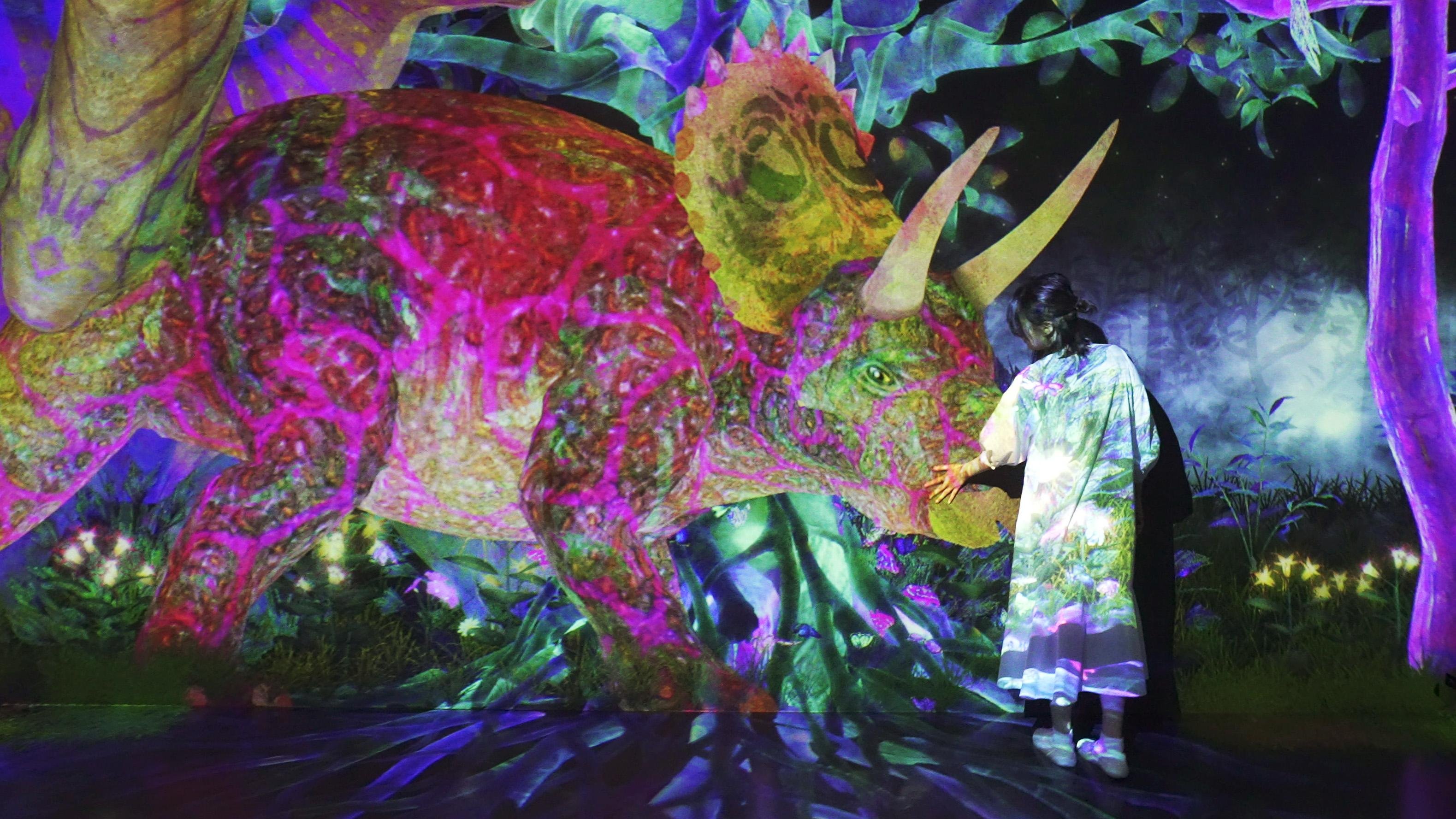 捕まえて集める恐竜の森 / Catching and Collecting in the Dinosaur