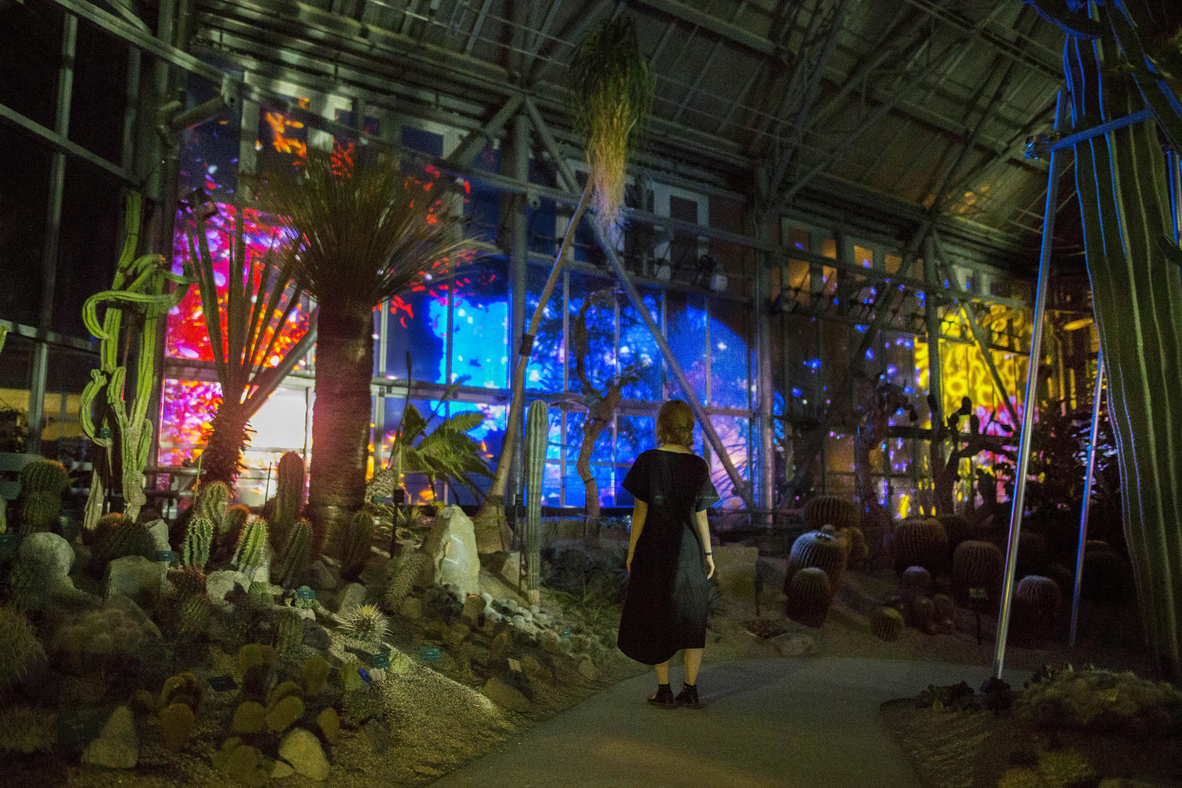 展示テーマ画像