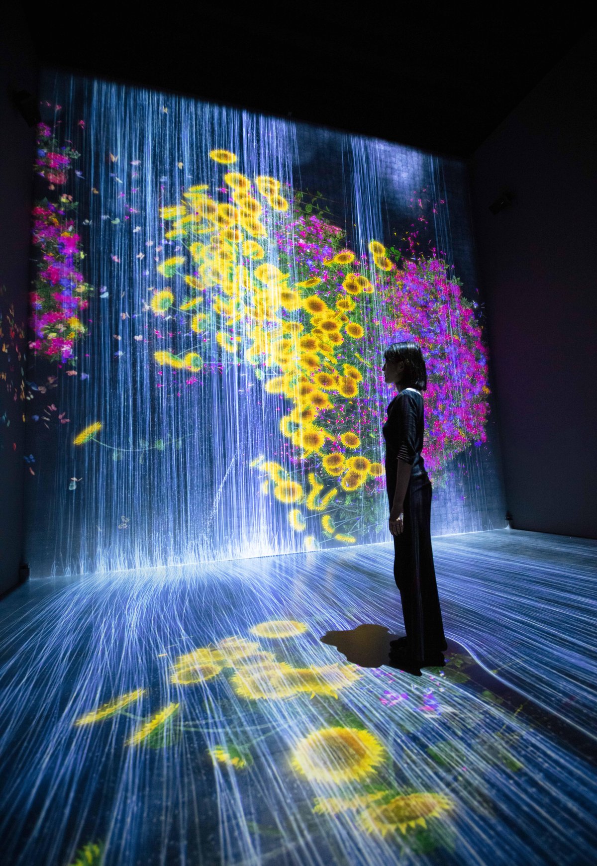 Universe of Water Particles, Transcending Boundaries | teamLab