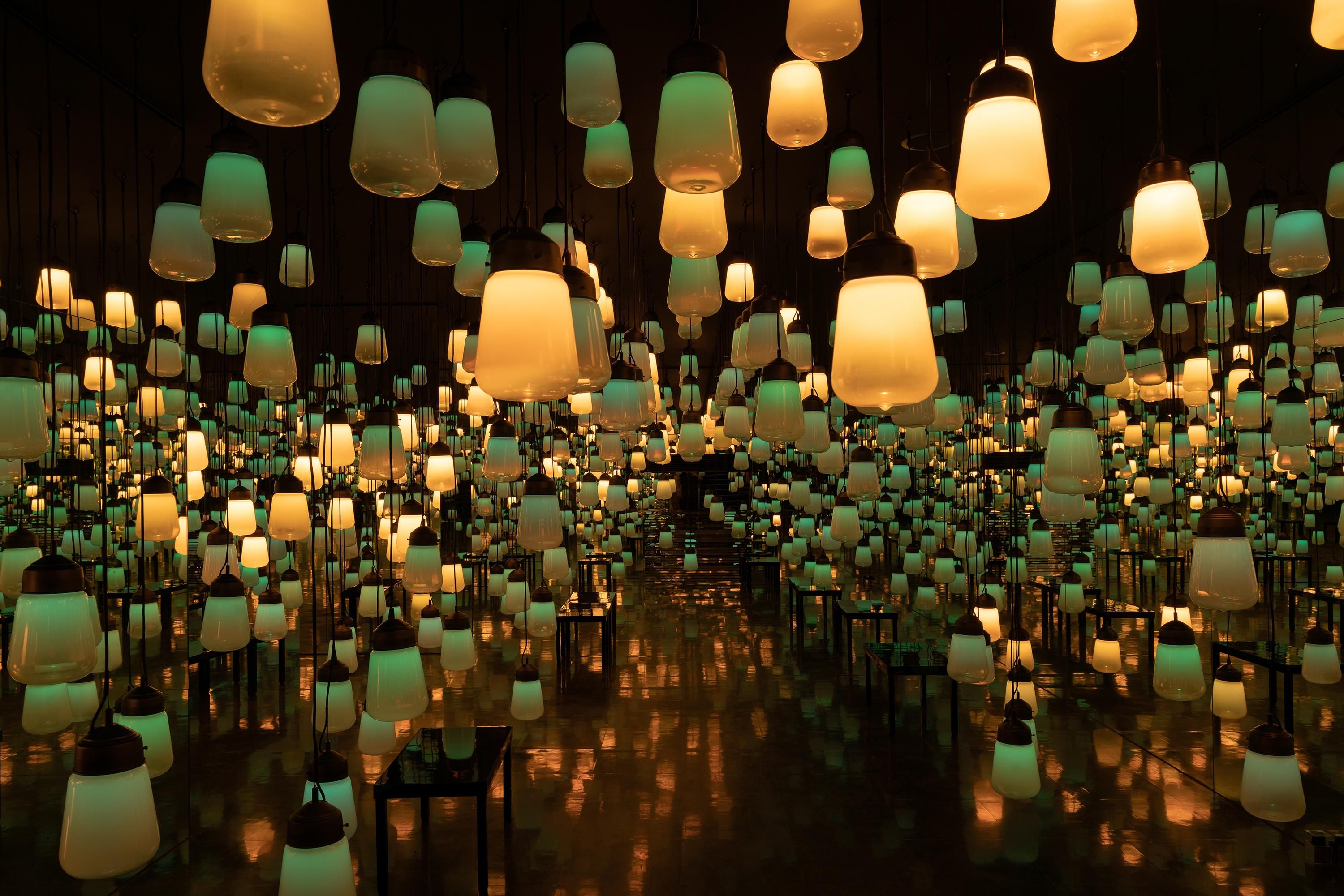 Forest and Spiral of Resonating Lamps: One Stroke - Autumn