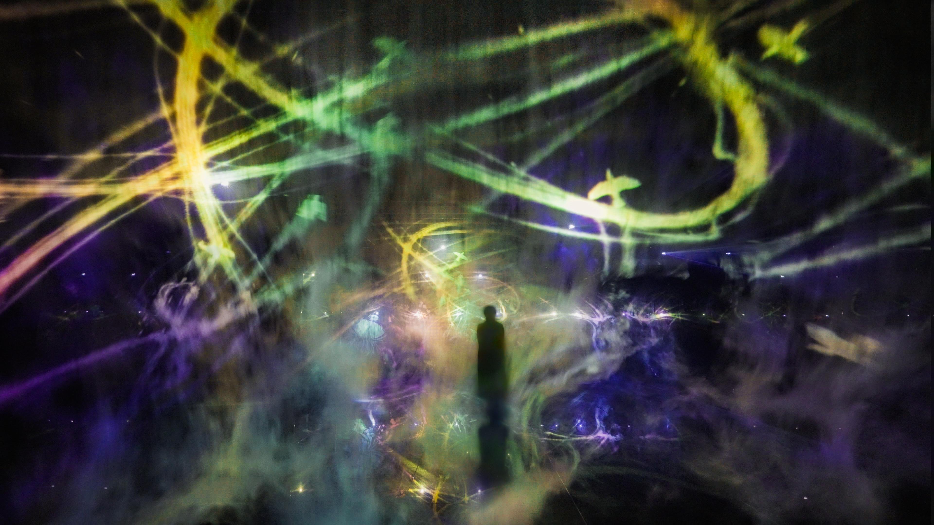 追われるカラス、追うカラスも追われるカラス：溶け出す光 / Crows are