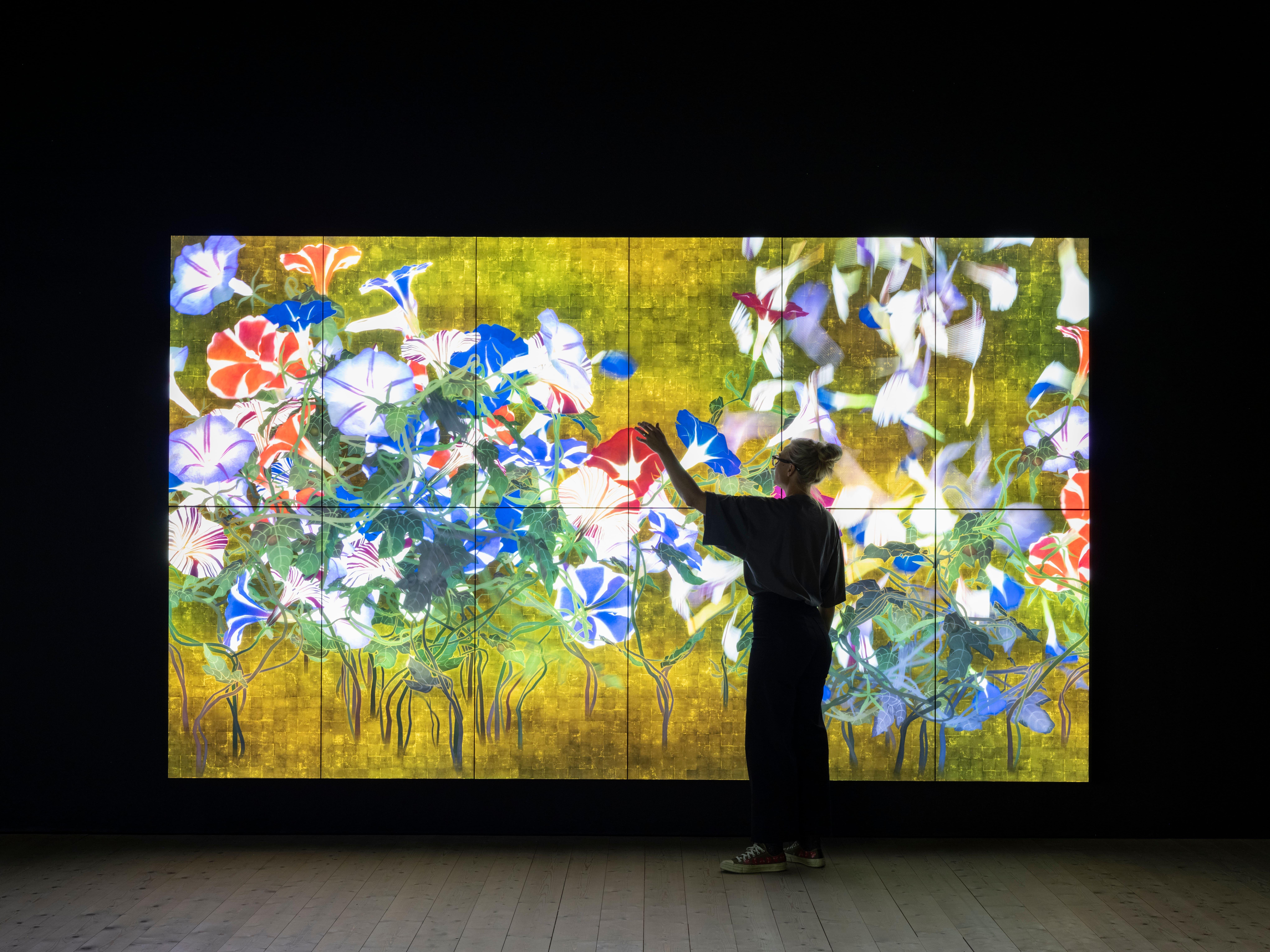 Nirvana | teamLab / チームラボ