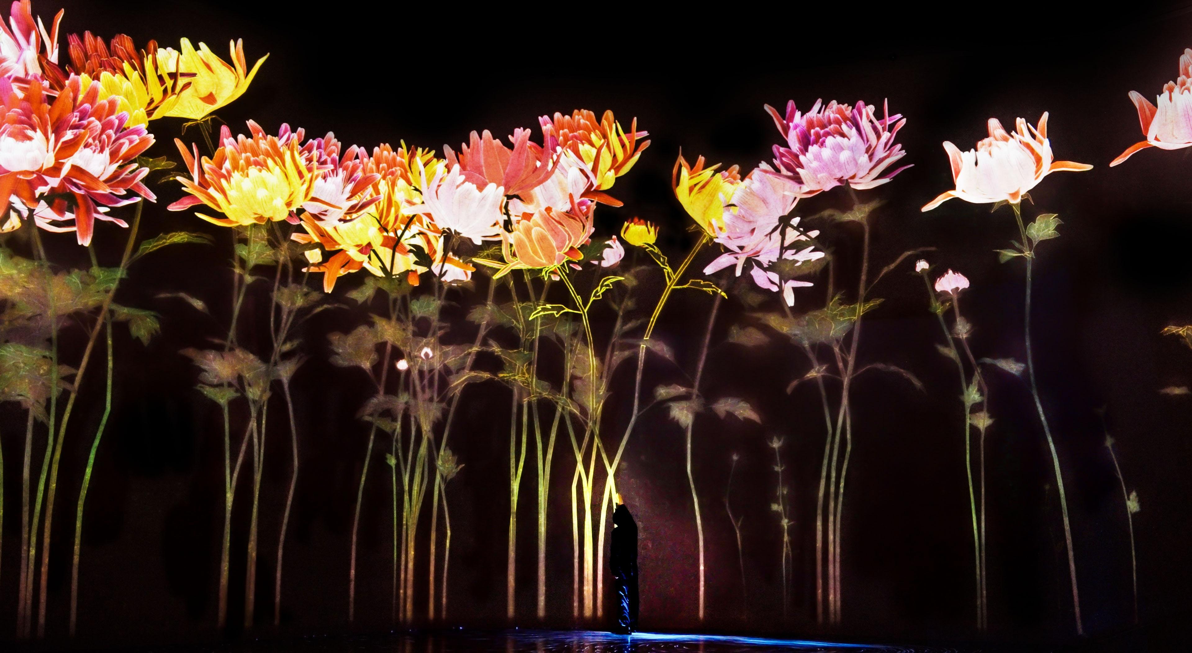 Proliferating Immense Life - A Whole Year per Year | teamLab