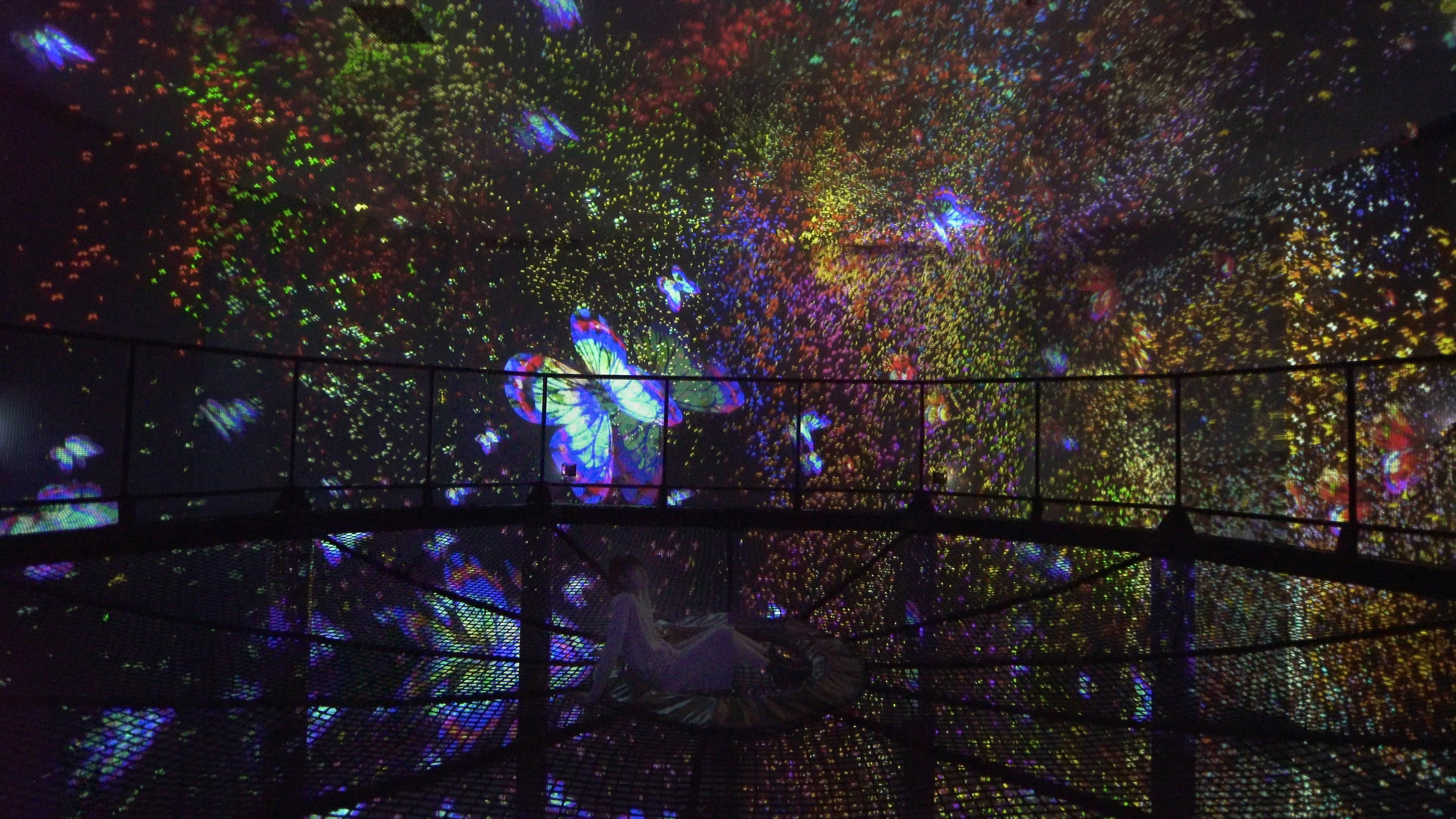 Flutter of Butterflies Beyond Borders, Transcending Space