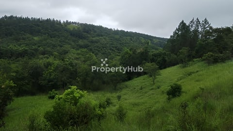 ដីលក់ នៅស្រុកអូររាំង មណ្ឌលគិរី