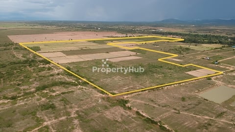 ដីលក់​ ៣៧ ហិចតា