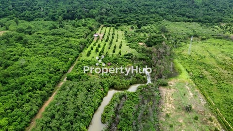 ដីចំការធុរេនទល់មុខភ្នំ