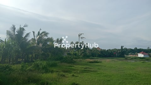 ដីលក់/Land for sale.