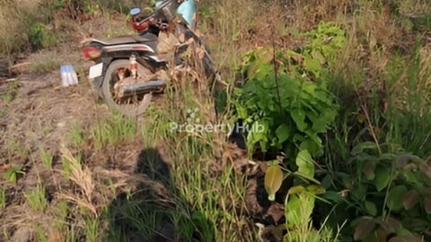 ដីលក់​​១៨ហិកតា​18០០០$​ ក្បាល​ដី​ជាប់ផ្លូវ