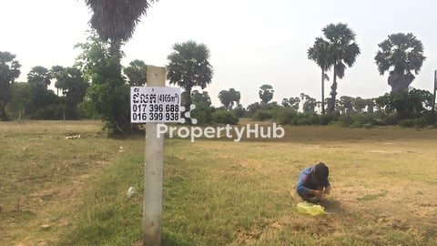 ដីលក់ (4965m2)