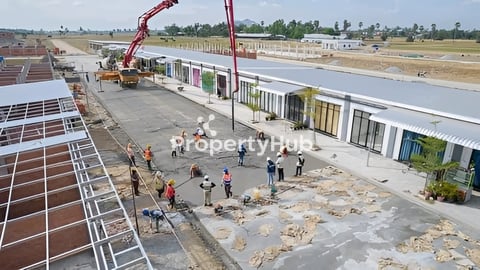 ដីឡូត 5x20 លក់បន្ទាន់