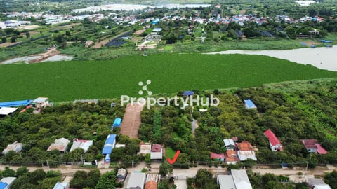 Land for Sale 1254 sqm at Koh Anglong Chen