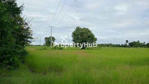 ដីលក់បន្ទាន់