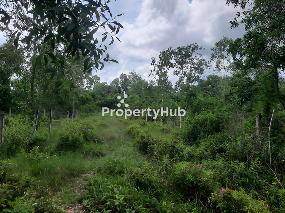 Property 4