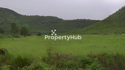 ដីចំការ ប្លង់រឹង ភូមិដំណាក់ត្រយឹង ឃុំ តាកែន ស្រុក ឈូក ខេត្ត កំពត