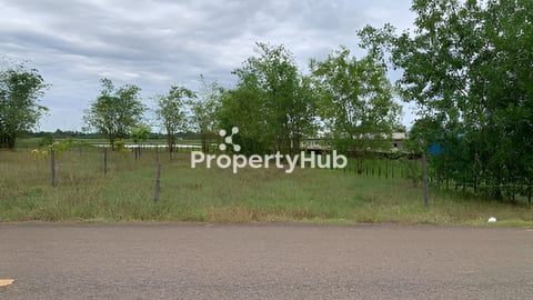 ប្លង់រឹង