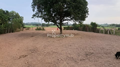 ដីលក់នៅក្រុងអរិយ្យក្សត្រ