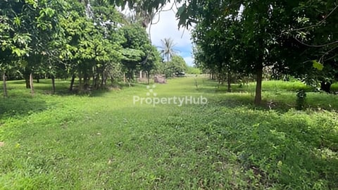 ដីស្អាតជាប់មាត់ទន្លេ ល្អសម្រាប់សង់ផ្ទះលំហែ 16m x 85m  (ប្លង់រឹង)