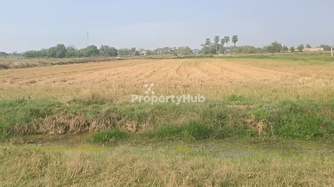 ដីស្រែក្នុងក្រុងបាត់ដំបង