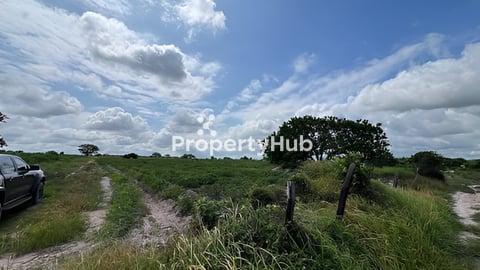 ដីលក់បន្ទាន់ខ្លាំងនៅក្បែរព្រលានយន្តហោះថ្មី​ 2km