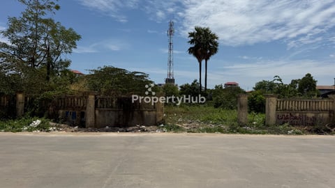 ដីអាជីវកម្មលក់នៅឈូកវ៉ា3
