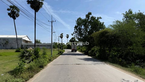 ដីលក់ជាប់តារាងវ៉ាហ្គោយChip Mongកប់ស្រូវ