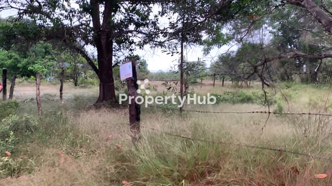 ដី​លក់​បន្ទាន់​