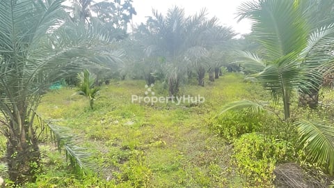 ព្រែកឯងដីលក់តម្លៃល្អ