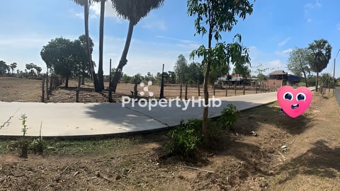 ដីនៅផ្លូវជាតិ 51 សម្រាប់លក់