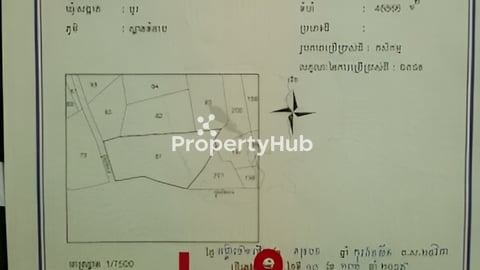 ដីលក់បន្ទាន់