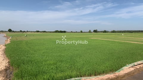 ដីលក់ ជាប់ផ្លូវជាតិ លេខ ៥ (ទំហំដី 1 ហិតាជាង)​ តម្លៃអាចរចាបាន