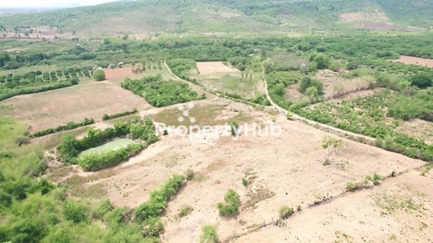 លក់ឡៃឡុង ដីចំការ ក្បែររមណីដ្ឋានពពុះពេជ្រចិន្តា