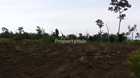 ដីចំការលក់ ជាប្រភេទដីក្រហម ជាប់អួរ ល្អសំរាប់ដំណាំធួររ៉េន ប័រ សាវម៉ាវ សណ្ដែកបាយ ។ល។