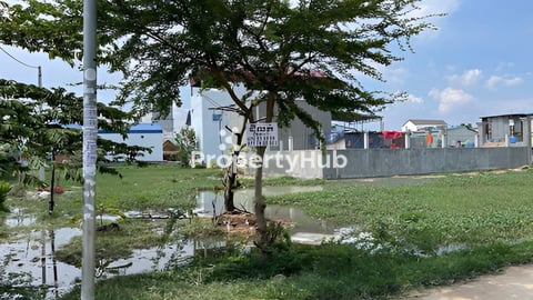 ដីលក់ ទីតាំង ខាងលិចផ្លូវកប់ស្រូវ សង្កាត់ស្នោ