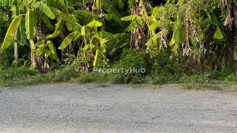 ដីលក់បន្ទាន់