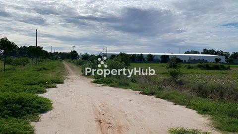 ដីជួល 6 ហិចតា ឥតគិតថ្លៃ តំបន់រោចក្រ អាចពុះខ្នាតតាមតំម្រូវការ