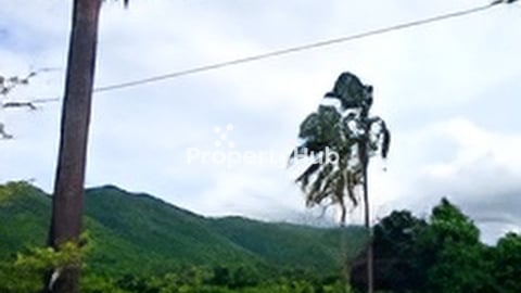 ដីលក់ នៅលើផ្លូវជាតិលេខ 31 (ទៅកែប)​ ហួសផ្សារតានីតិច